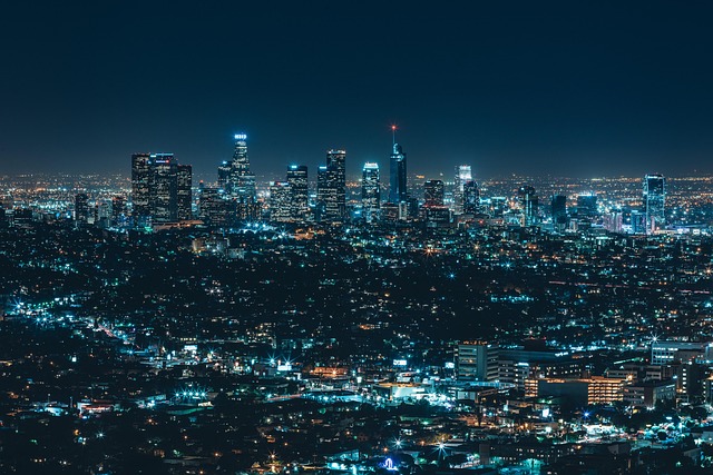 business license, law, lawyer, business, company