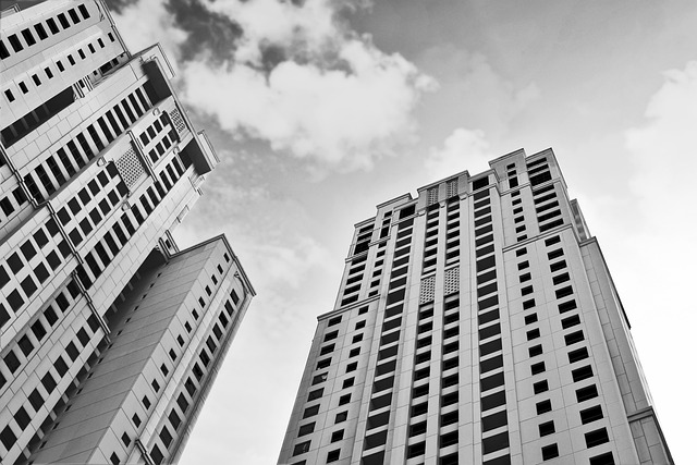 business license, law, lawyer, business, company