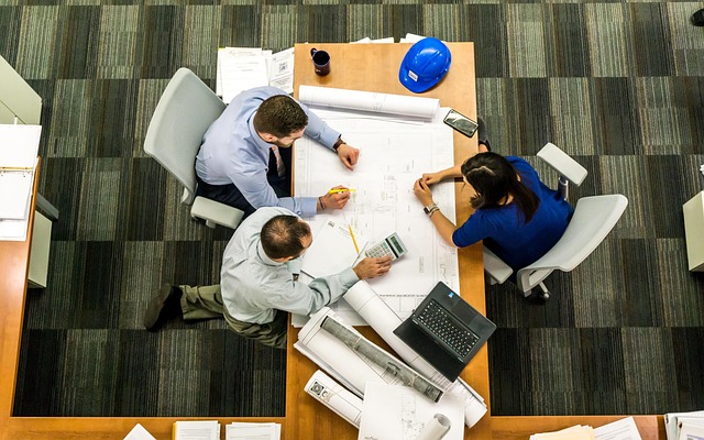 business license, law, lawyer, business, company