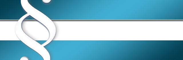 business license, law, lawyer, business, company