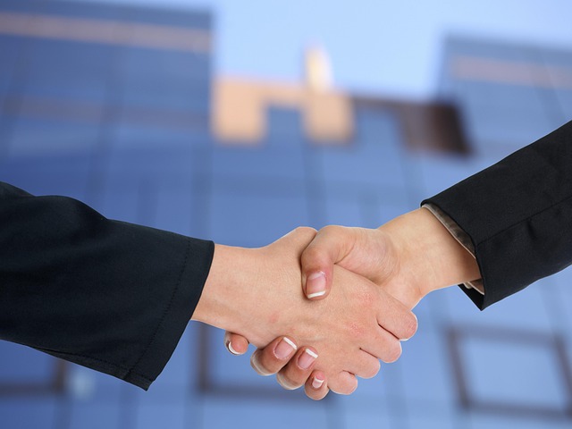 Professional Assistance With Franchise Disputes: Role of Franchisor Legal Services