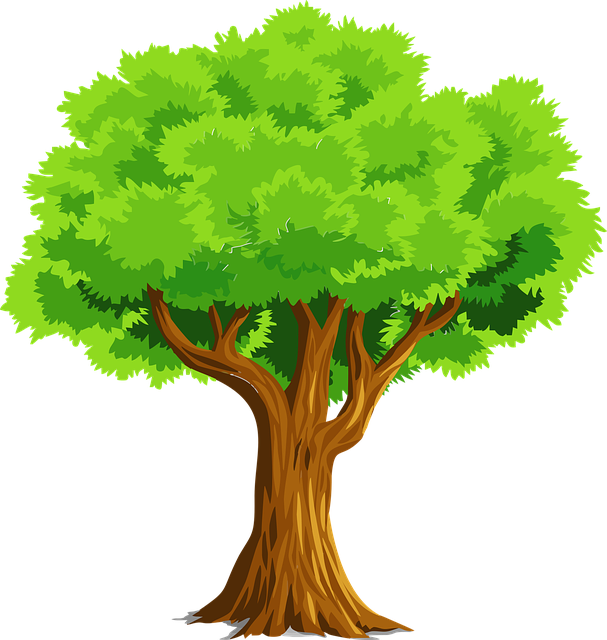 canopy-640x480-54948715.png
