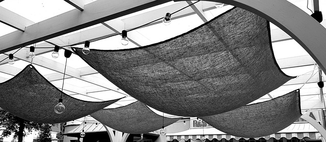 canopy-640x480-59400695.jpeg