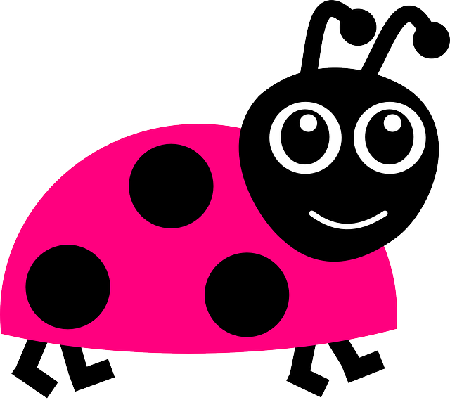 carpet-beetle-beetle-640x480-75488586.png