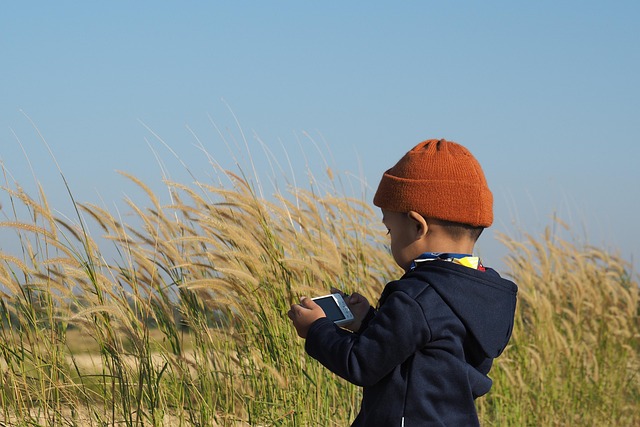 child-children-640x480-2232348.jpeg