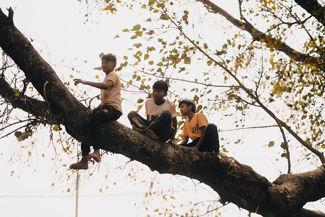 Advocating for Stronger Child Protection Laws: Preventing Injuries, Ensuring Safety