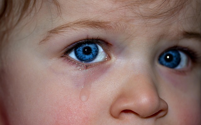 child-children-640x480-9812534.jpeg