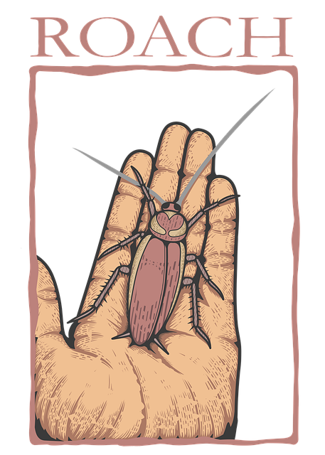 cockroach-640x480-43825779.png