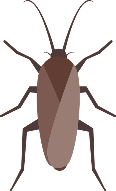 Eco-Conscious Cockroach Control: Expert Strategies for Effective Removal