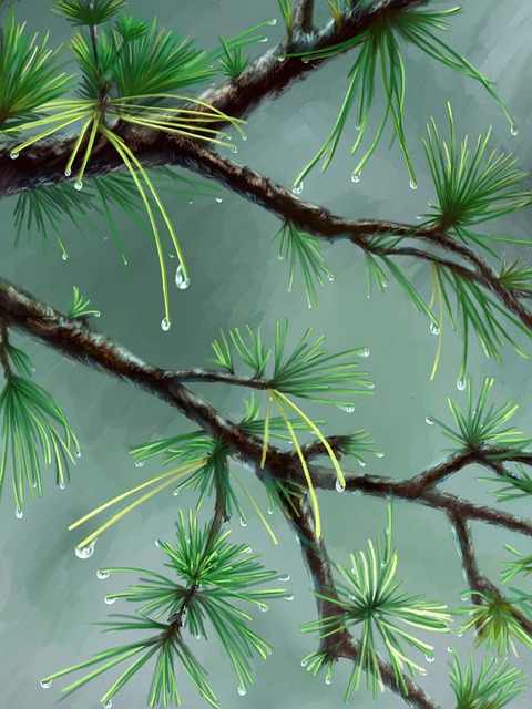 cold-water-therapy-640x480-14467972.jpeg