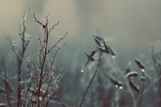 cold-water-therapy-640x480-5818207.jpeg