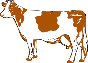 company-640x480-59440963.png