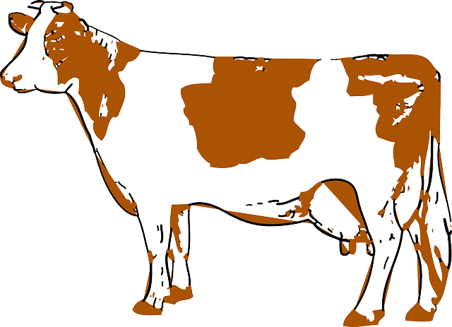 company-640x480-59440963.png