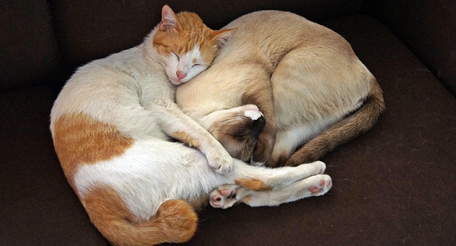 company-640x480-7210456.jpeg