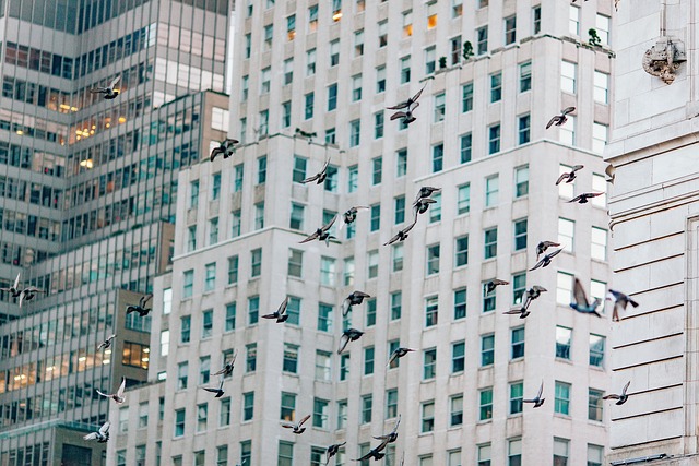 condominium