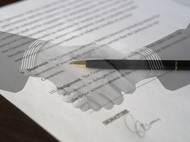 contract, business, business meeting, businessman, lawyer