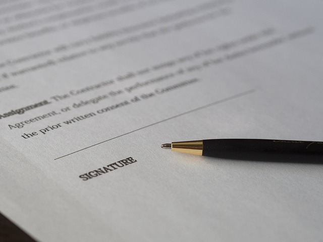 contract, business, business meeting, businessman, lawyer