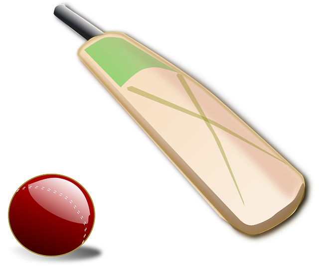 cricket-insect-640x480-51760907.png