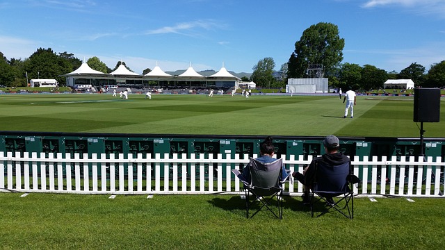 Eco-Friendly & Tailored Cricket Control: Effective, Safe Solutions for All Spaces