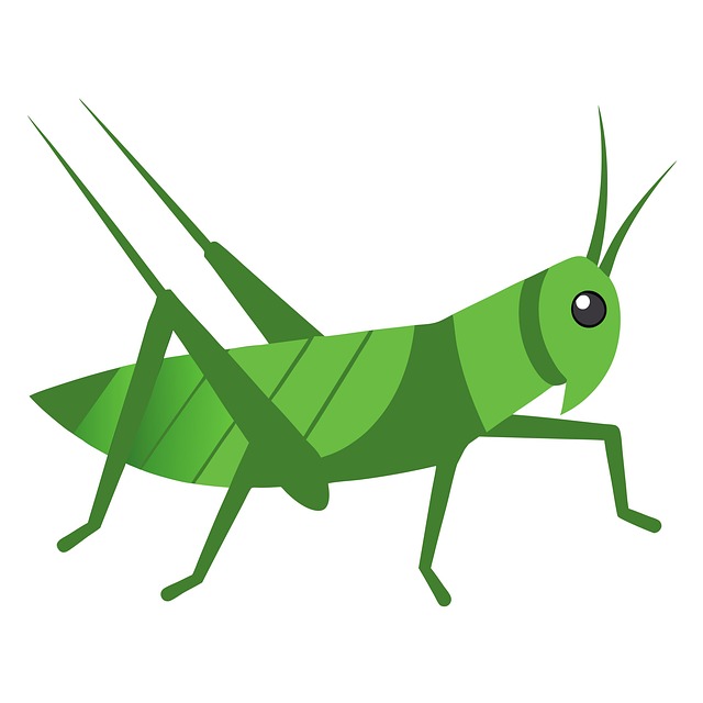 Eco-Friendly Cricket Solutions: Safe & Sustainable Extermination Methods