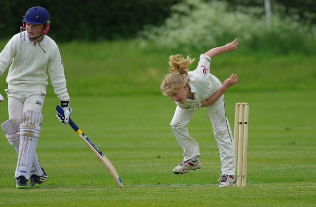 Affordable Cricket Pest Control: Solutions Near You for Long-Term Relief