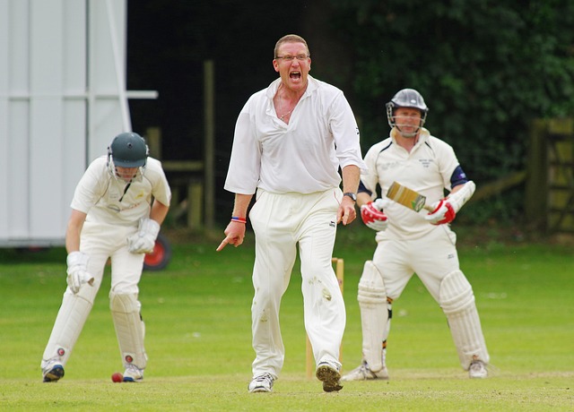 cricket-insect-640x480-99089167.jpeg