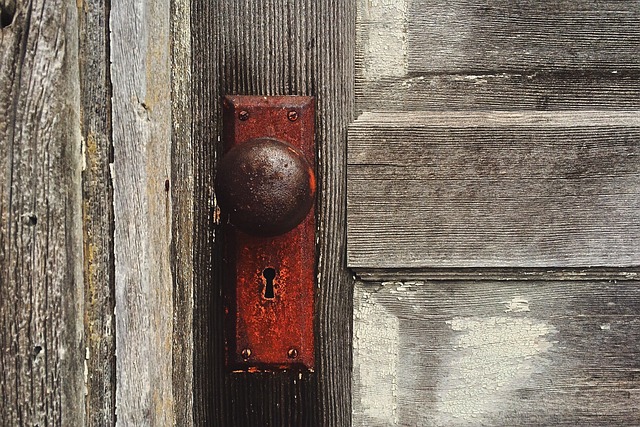 Simplify Entry with Pre-Hung Steel Doors: Custom, Durable Solutions