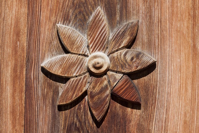 door, door lock, door access