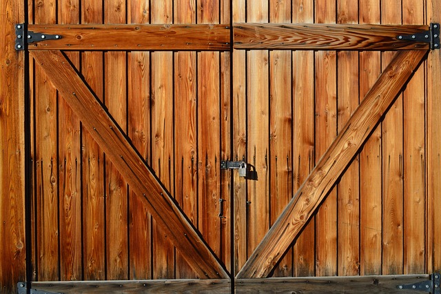 door, door lock, door access