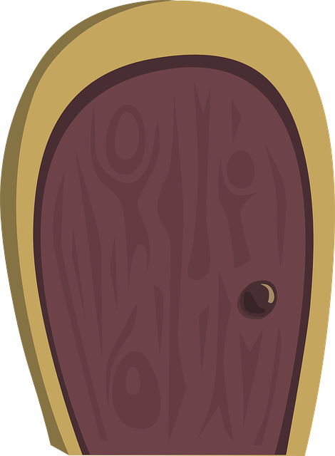 door, door lock, door access