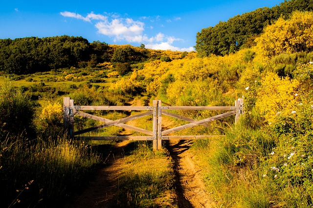 Fortify Your Home Entry: Professional Reinforcement of Access Points