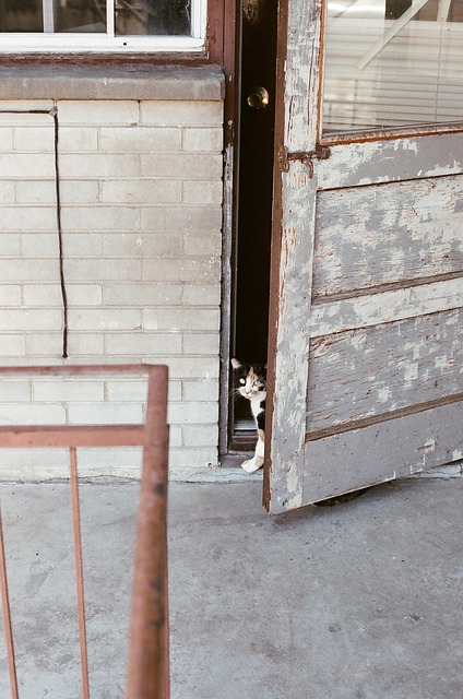 door lock