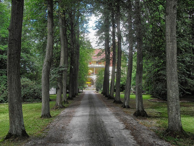 Driveway Resurfacing: Expert Repairs, Longevity, and Material Choices