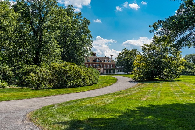 driveway