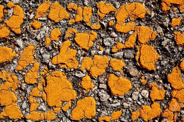driveway-640x480-20544136.jpeg