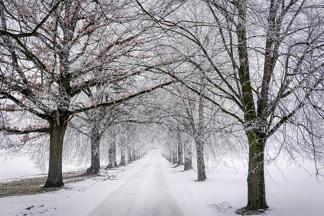 driveway-640x480-20939836.jpeg