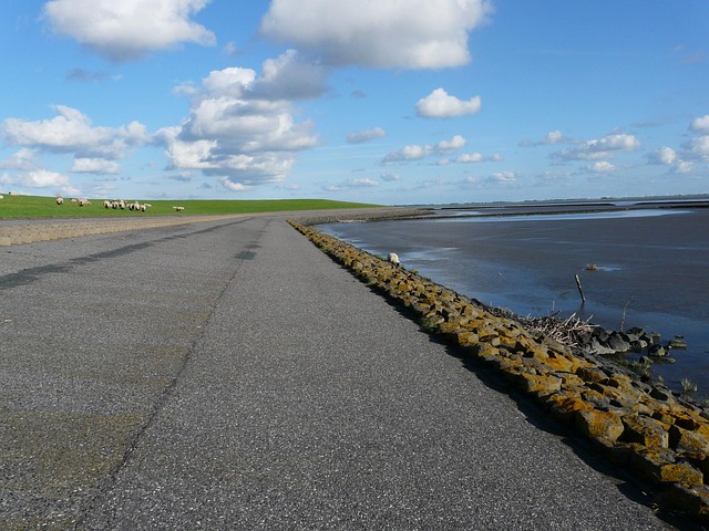 driveway-640x480-6436590.jpeg