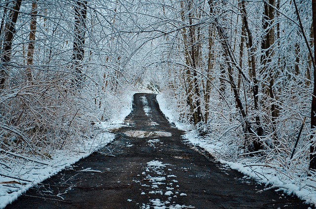 driveway-640x480-77749758.jpeg