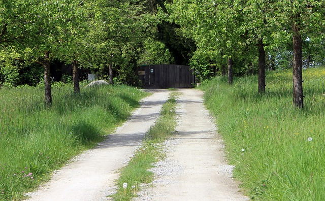 driveway