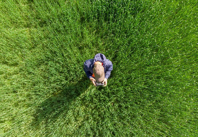 drone-640x480-83402969.jpeg