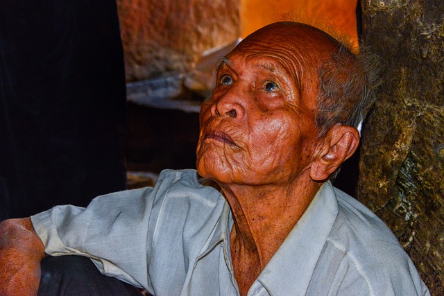 Elderly Companion Services: Nurturing Quality Home Maintenance for Seniors