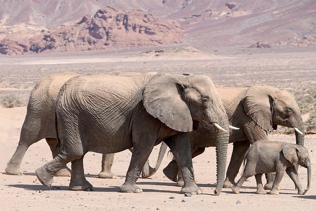 family-640x480-25678348.jpeg
