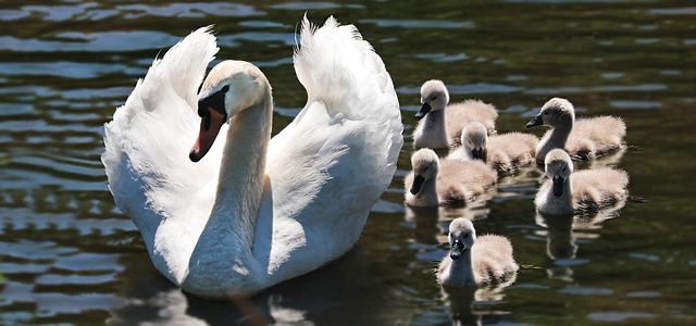 family-640x480-75248440.jpeg