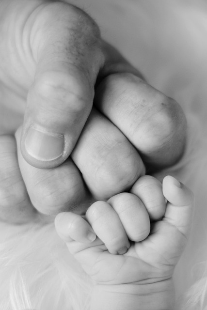 Equitable Divorce: Navigating Complexities with Family Law Guidance