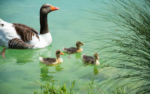 family-640x480-95881930.jpeg