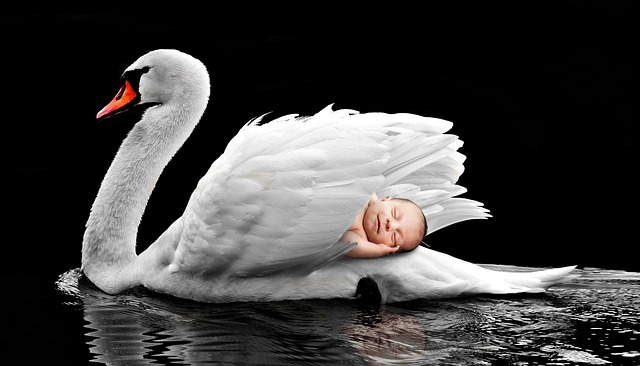 family, baby, pregnant