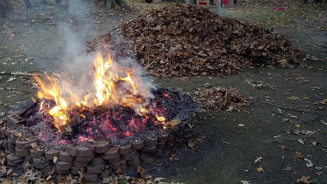 fire-pit-firepit-640x480-41655883.jpeg