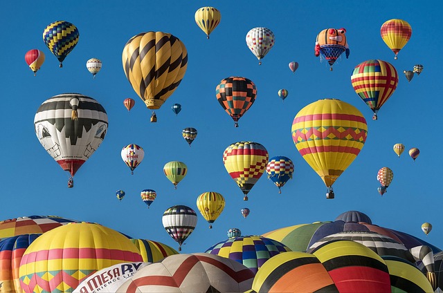 fly-flies-640x480-40203217.jpeg
