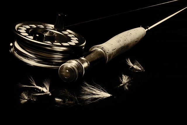 fly-flies-640x480-5619510.jpeg