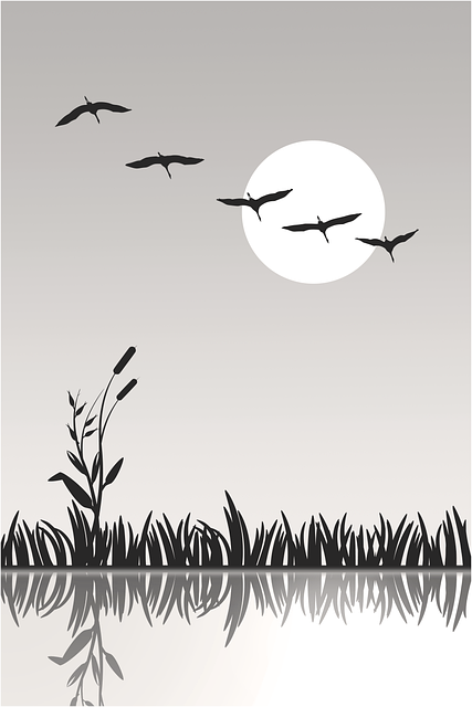 Comprehensive Fly Control Services: Indoor-Outdoor Strategies for Total Protection
